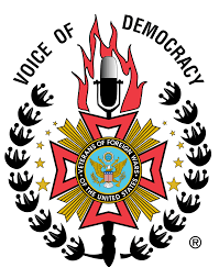 Voice of Democracy logo
